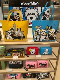 假屋崎省吾『衝動買いしました〜っ‼️』