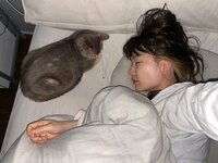 桃『お腹痛くて眠れなかった…!!』