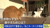 【映像】救える命もある？ 月380円で審査なし譲渡『ねこホーダイ』を議論