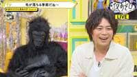 石川界人のゴリラ姿に浪川大輔も爆笑！「思い入れのあるキャラ」「苦手な声優」など困った質問の“ベストアンサー”を議論