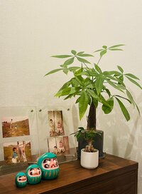 だいたひかる『再発転移が怖かった時』