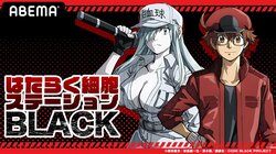 榎木淳弥、日笠陽子、KENN出演！新アニメ『はたらく細胞BLACK』第1話の前日に特別番組の配信決定