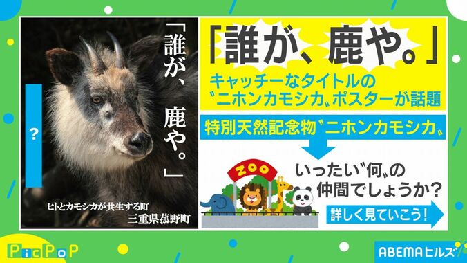 「誰が、鹿や」ニホンカモシカの意外な事実を記した三重県の観光ポスターが話題に 1枚目