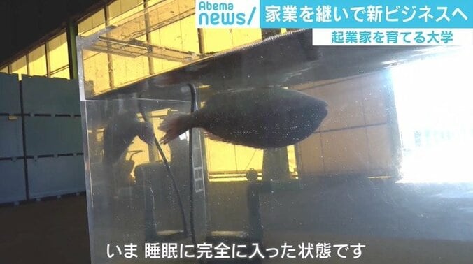 世界で“勝てる”日本企業は現れるのか？ ハフポスト日本版編集長「“組み合わせ”がひとつの勝ちパターン」 6枚目