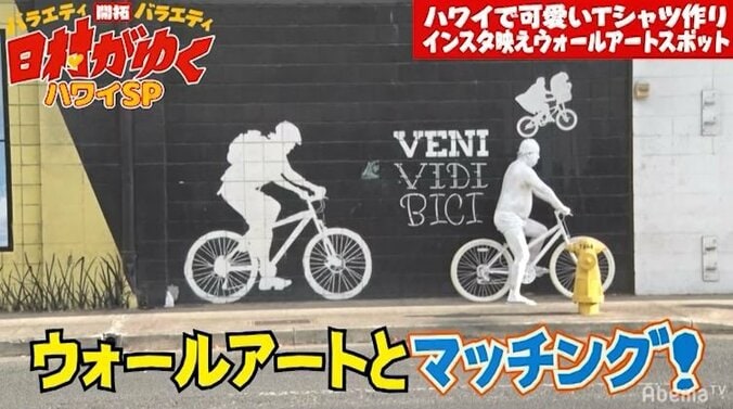 日村、ハワイのインスタ映えスポットでアート撮影　完成度の高さにスタッフも大爆笑「ナイスアート！」 7枚目