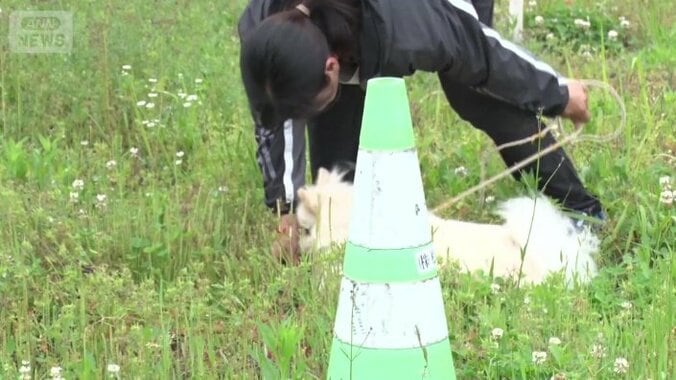 ライターを発見