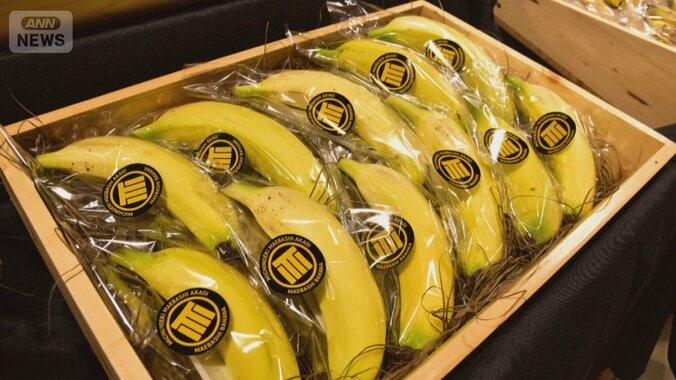 「まえばしバナナ」道の駅で連日完売　敷地内のハウスで栽培　皮まで食べられる 1枚目
