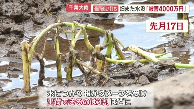 先月の豪雨でも被害