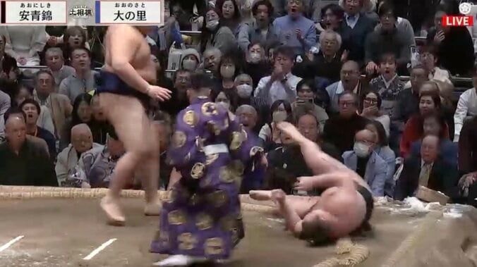 大の里が驚異のパワーで安青錦に“完全勝利”