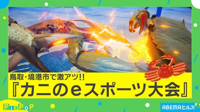 カニのeスポーツに大盛り上がり！ 主催者「子供が勝つ場面も」 優勝者には“本物のカニ” 1枚目