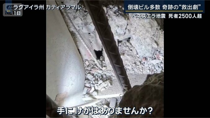 救助隊
