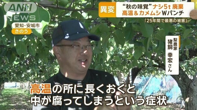 ナシ農家 猪飼幸宏さん