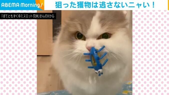 ぽてとくん