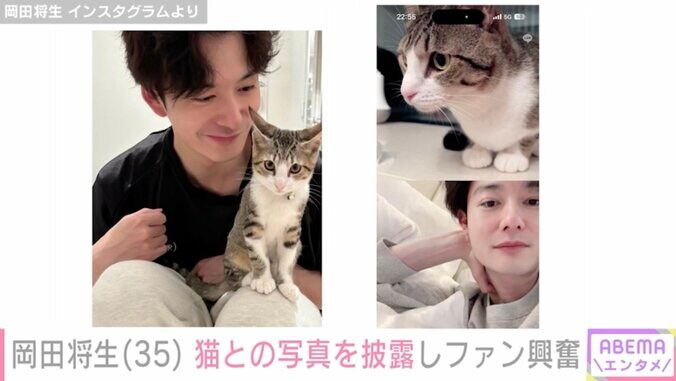 【写真・画像】妻・高畑充希（33）との密着ショットが話題・岡田将生（35）、猫との写真にファン興奮「充希ちゃんを感じて幸せです」　2枚目