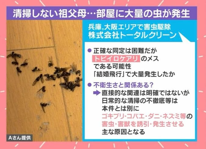 株式会社トータルクリーンの見解