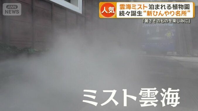 「ミスト雲海」