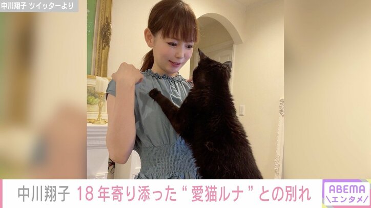 中川翔子、デビュー曲の撮影時に出会い18年寄り添った愛猫“ルナ”との別れを報告「かなしすぎるもう」