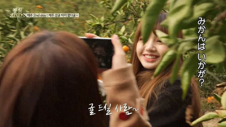 BLACKPINK、ついに100日間の同居生活が終了「お互いを理解していく時間だった」メンバー同士の絆を確認