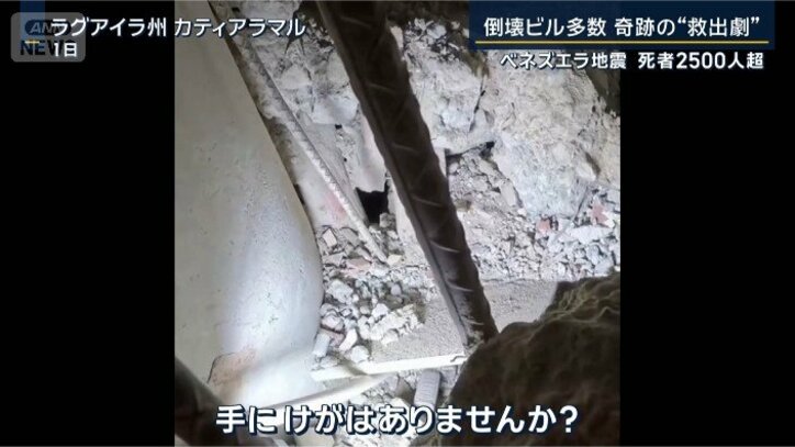 救助隊