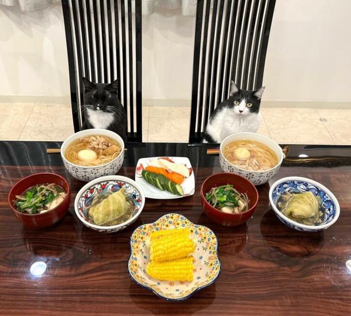  藤あや子、アレンジ料理のレシピを紹介「素晴らしい」「勉強になります」の声 