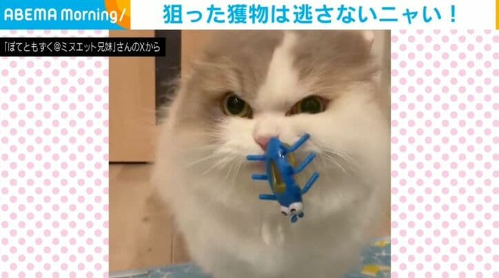 ぽてとくん