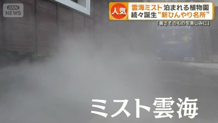 「ミスト雲海」