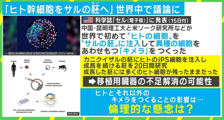 サルがヒトの臓器不足を解消? 世界中で生命倫理に懸念の声「議論内容の発信を」