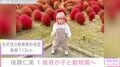 身長115cmモデル・後藤仁美、1歳の我が子と動物園での親子ショットに反響「とてもステキです」