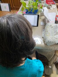 笠井信輔『80歳のZOOM会議』