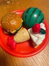 武田久美子『甥っ子のおもてなし』