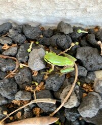 坂上忍『１５番目のオトコ？』