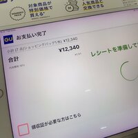 日菜あこ『GUで1万越えのお会計に汗』