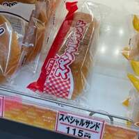 水野真紀『懐かしのスペシャルサンド』