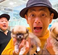 ココリコ遠藤嫁『家族が増えました』