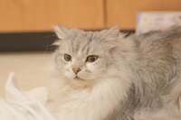 葛山信吾『こんにちは』