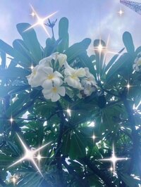 戸松遥『☆ご報告☆』