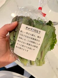 岩隈まどか『夜ご飯とおやつ』