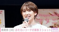 “パパ似”の長男が話題 南明奈（36）、夫・濱口優（53）&2歳長男とおそろいコーデでディズニーのホテルを満喫「後ろ姿がかわいい」ファン注目