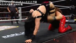 女子レスラー、“美尻“秘技10連発 顔面を叩きつけるたび「額割れる」「硬いところで…」ファン騒然