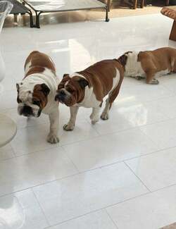  北斗晶、だるさを感じている自身の身体「時差ぼけはしてないんだけど」 