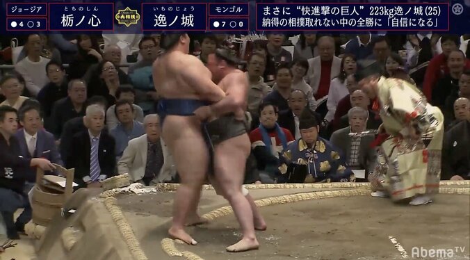 栃ノ心、“なりふり構わぬ”変化　全勝の逸ノ城に“土”をつける 1枚目