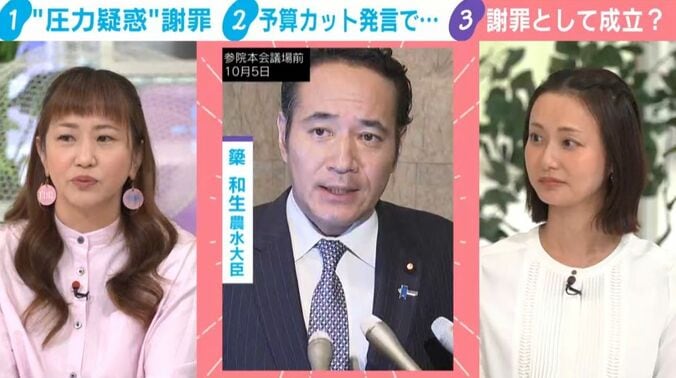 簗大臣