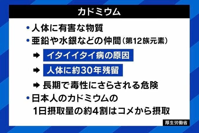 風評加害なぜ再び？科学的な情報どう伝える？ 品種改良された「あきたこまちR」を考える 専門家「放射線育種の仕組みが勘違いされている」 ひろゆき氏「恐怖をばら撒き支持者を増やすインフルエンサーが悪い」 6枚目