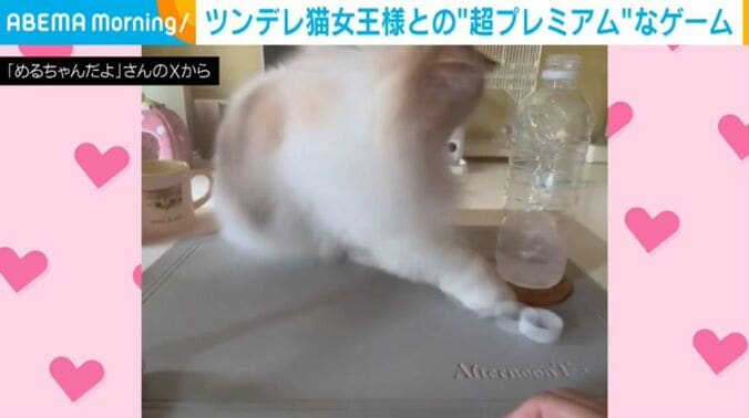 めるちゃん