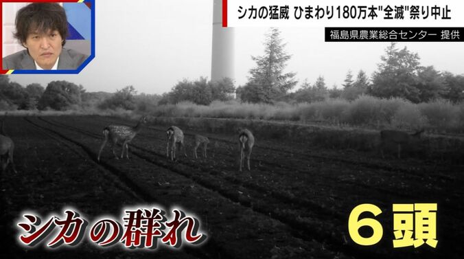 提供：福島県農業総合センター