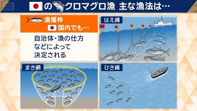 日本　クロマグロの漁法