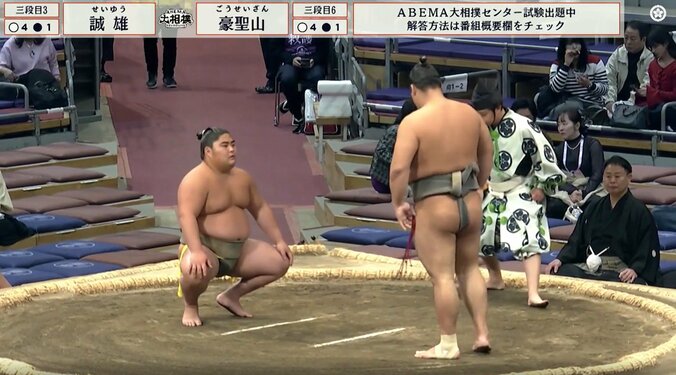 綺麗にパンプアップされた三段目三枚目・誠雄（秀ノ山）と整えられたキリリ眉