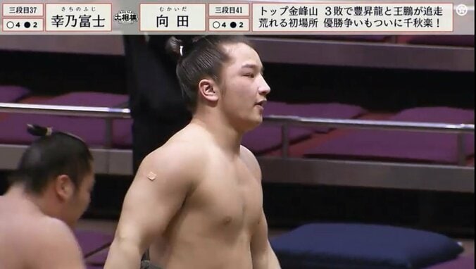 切れ長な目の幸乃富士