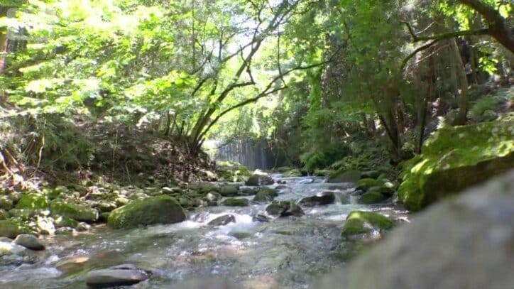 「谷太郎川」