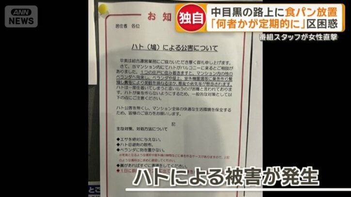 近隣のマンション